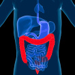 nj colon care